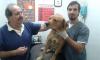 Foto de Clinica Veterinaria Grancelli-clnica veterinaria
