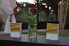 Foto de Arabbia Eventos