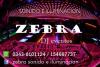 Foto de DJ Zebra Eventos